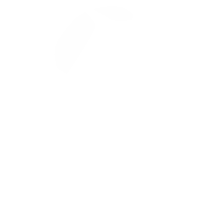 همواپیمایی ترکیش